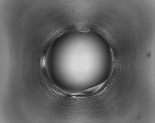 X0000097870095200803141307