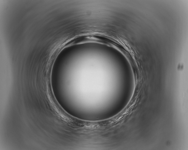 X0000097870097200803141307