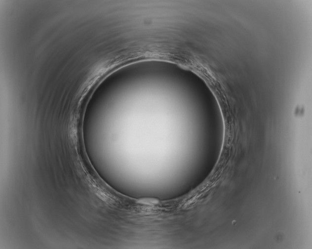 X0000097870098200803141307