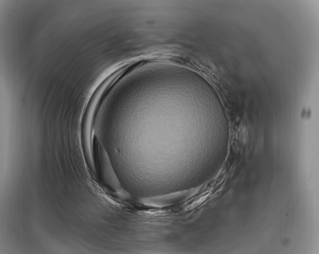 X0000097870100200803141307
