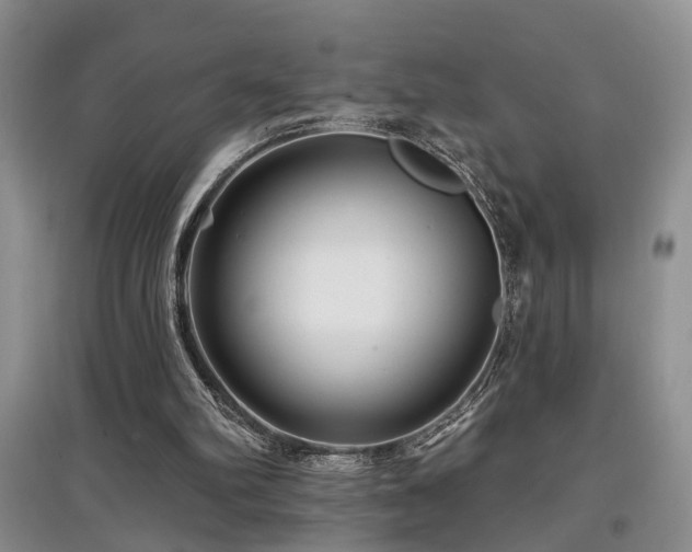 X0000097870102200803141307