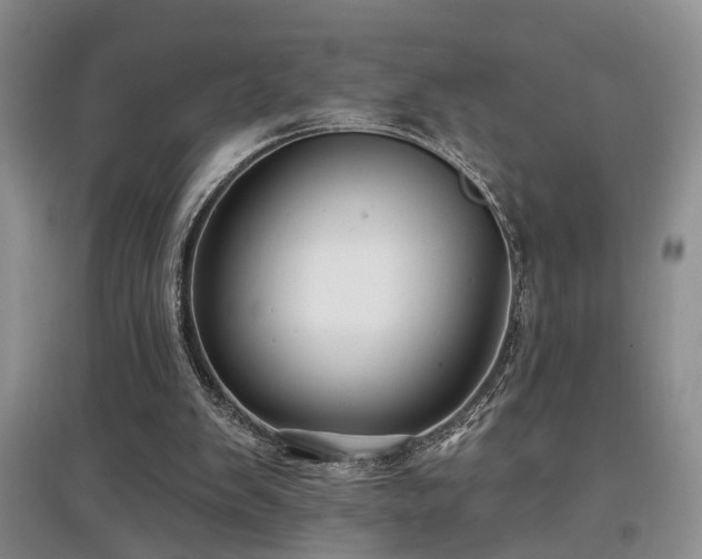 X0000097870103200803141307