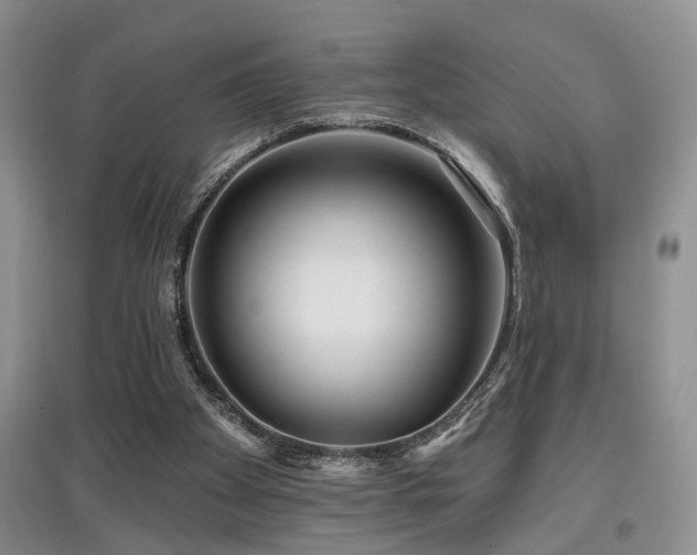 X0000097870105200803141307