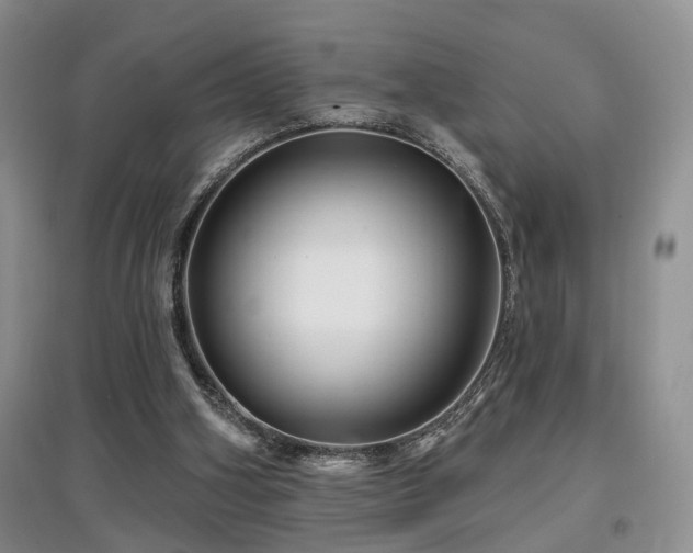 X0000097870106200803141307