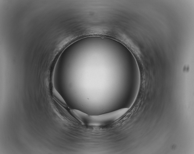 X0000097870107200803141307