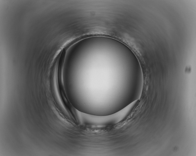 X0000097870108200803141307
