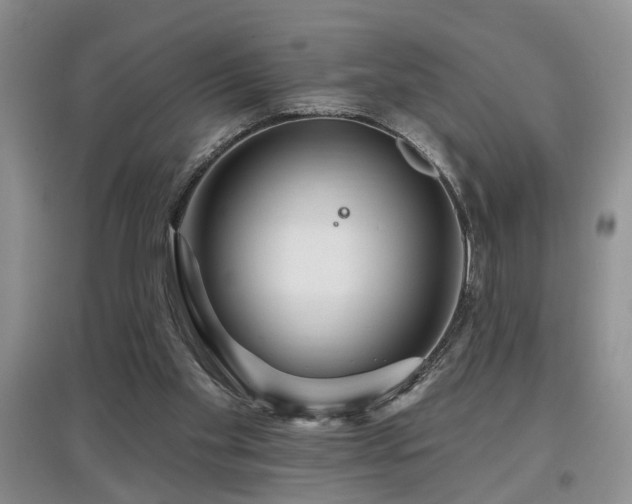 X0000097870109200803141307