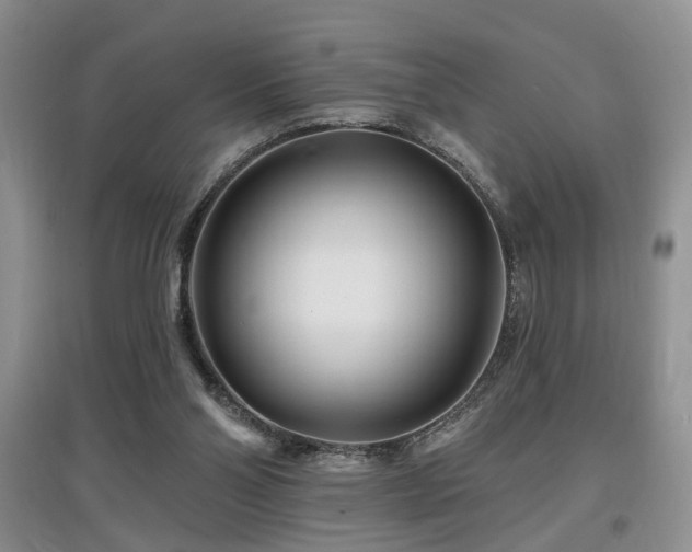 X0000097870110200803141307