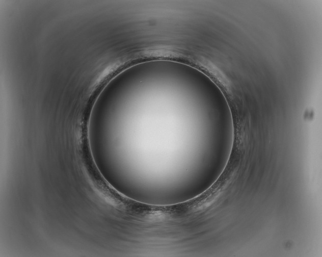 X0000097870111200803141306