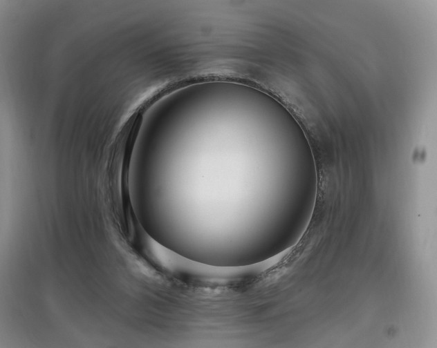 X0000097870112200803141306