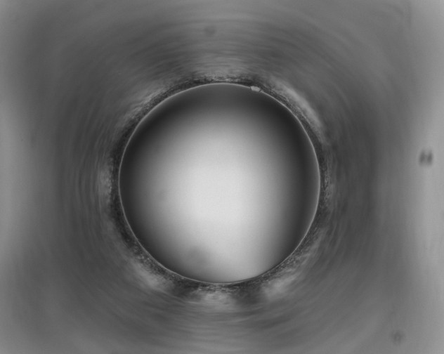 X0000097870113200803141306