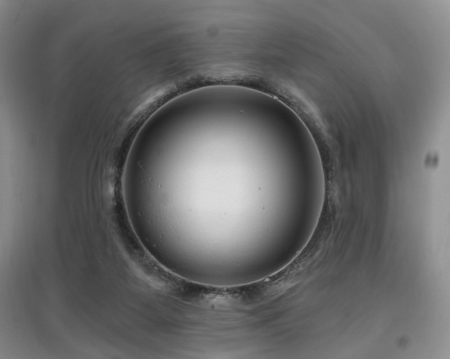 X0000097870115200803141306