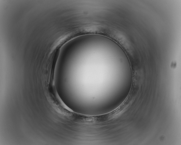 X0000097870116200803141306