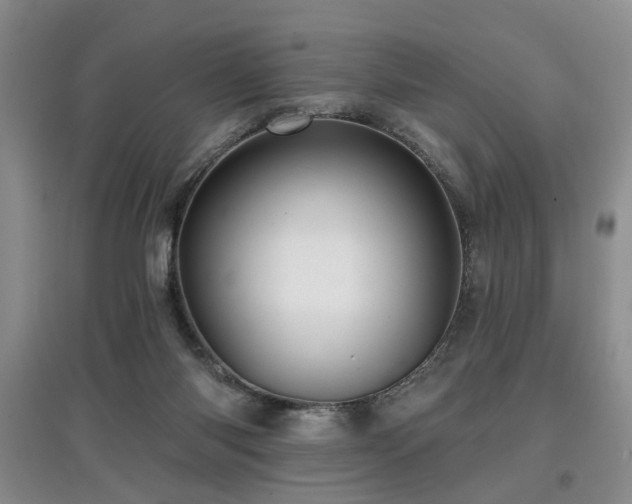 X0000097870118200803141306