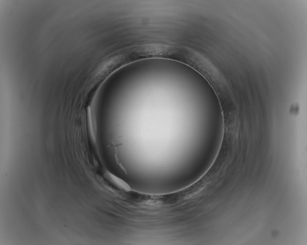 X0000097870119200803141306