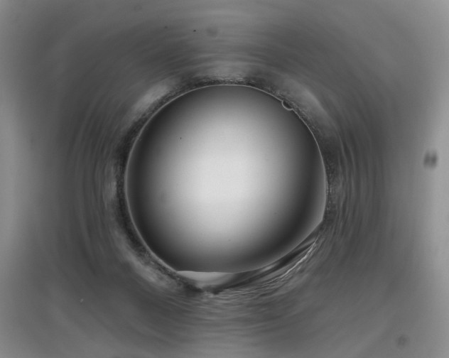 X0000097870120200803141306