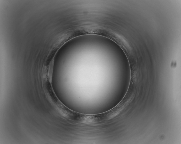 X0000097870121200803141306