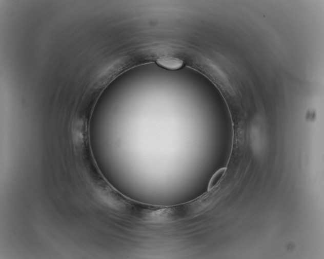 X0000097870122200803141306