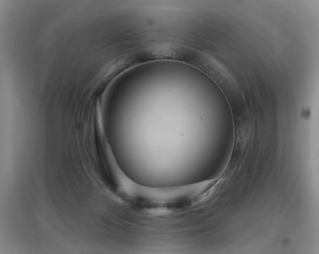 X0000097870124200803141306