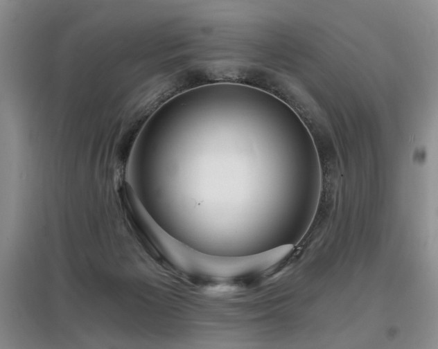 X0000097870125200803141306
