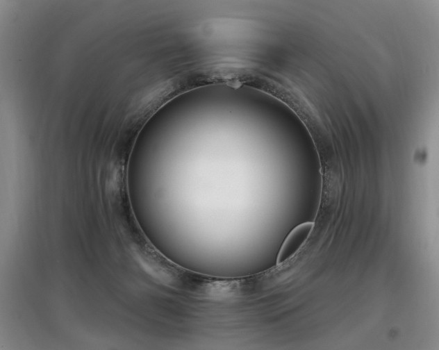 X0000097870126200803141306