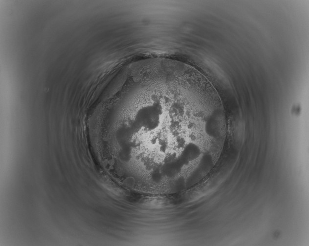 X0000097870127200803141306