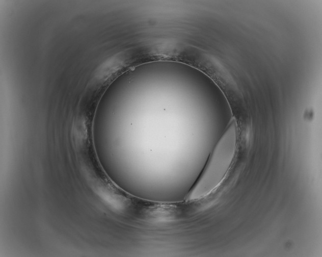 X0000097870128200803141306