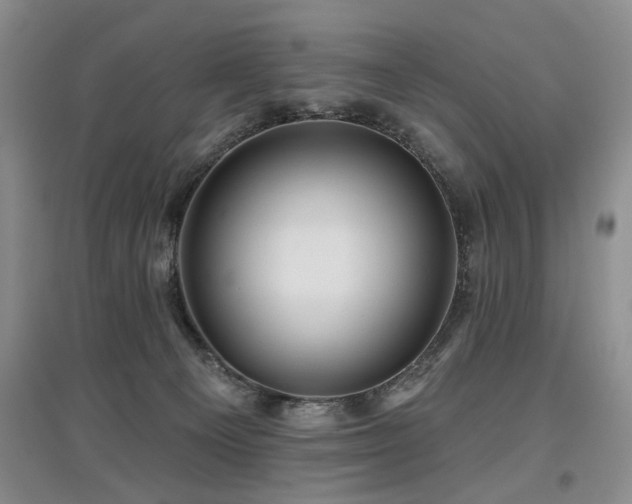 X0000097870129200803141306