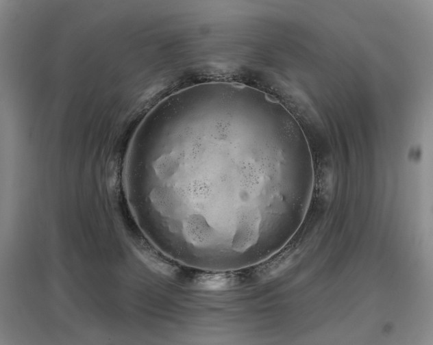 X0000097870131200803141306
