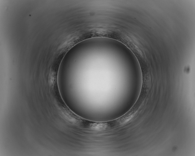 X0000097870135200803141306