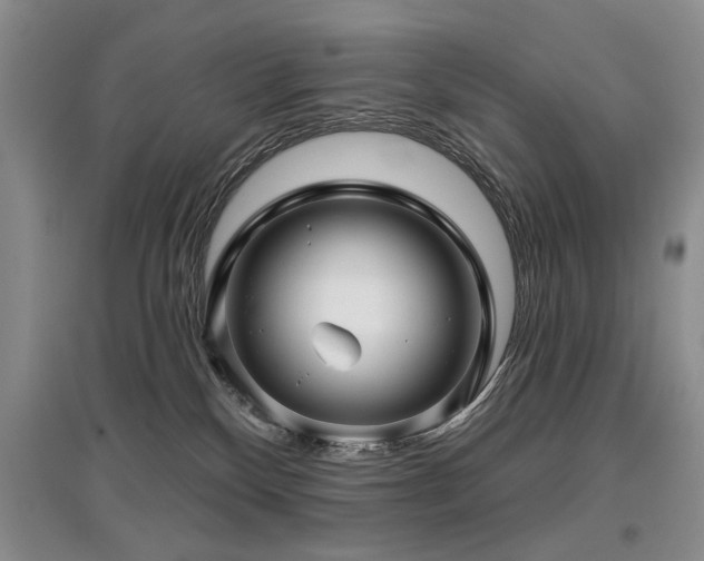 X0000097870136200803141306