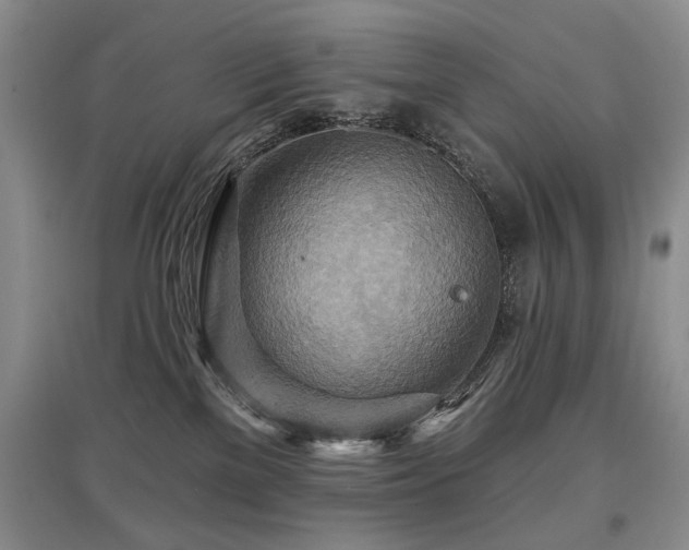 X0000097870137200803141306