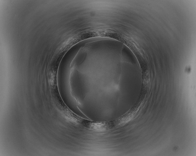X0000097870139200803141306