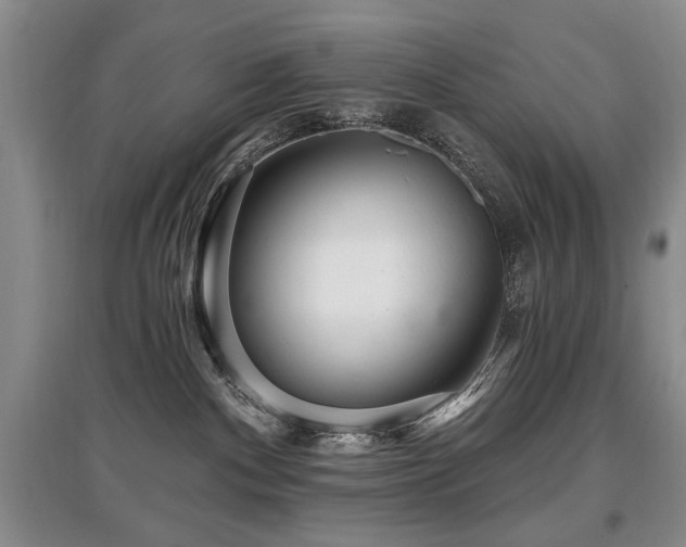 X0000097870140200803141306
