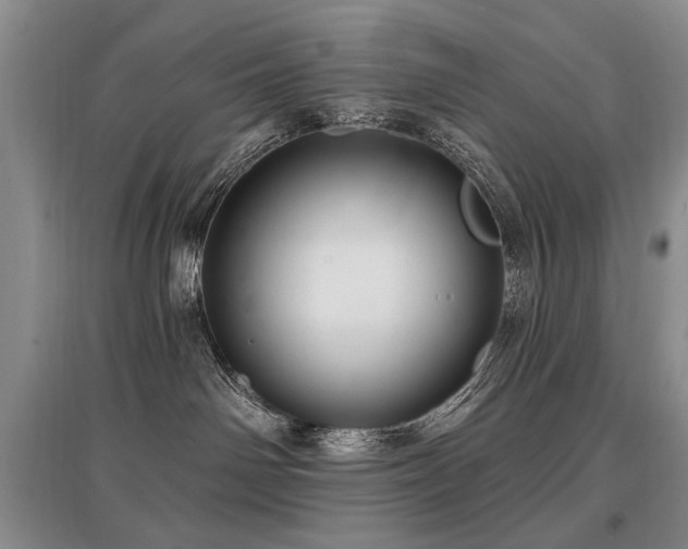 X0000097870142200803141306