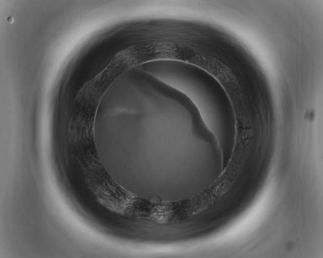 X0000097870143200803141306