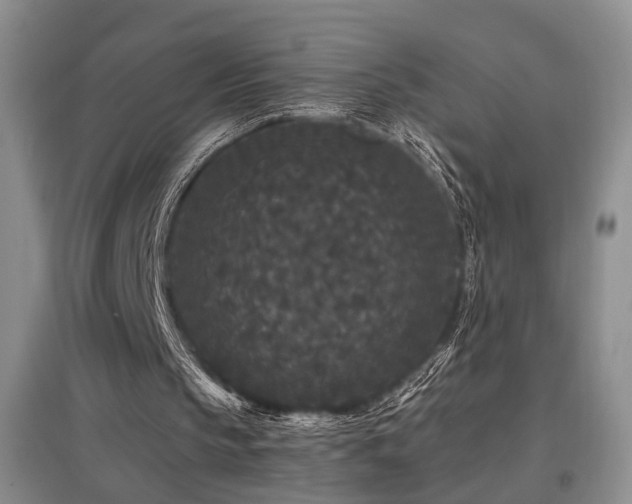 X0000097870145200803141305