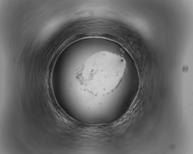 X0000097870146200803141305