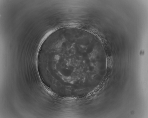 X0000097870147200803141305