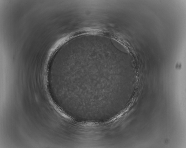 X0000097870149200803141305