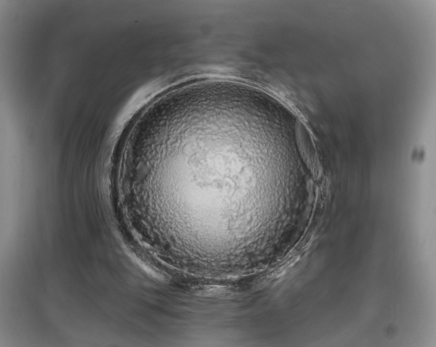 X0000097870151200803141305