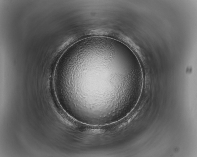 X0000097870153200803141305