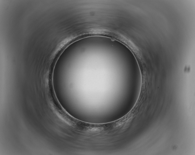 X0000097870155200803141306