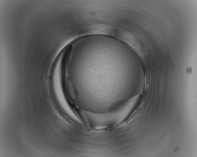 X0000097870156200803141306