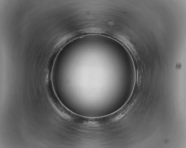 X0000097870157200803141306