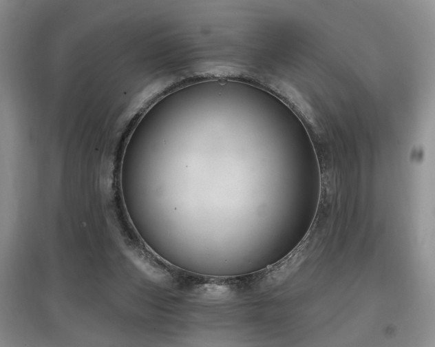 X0000097870159200803141306