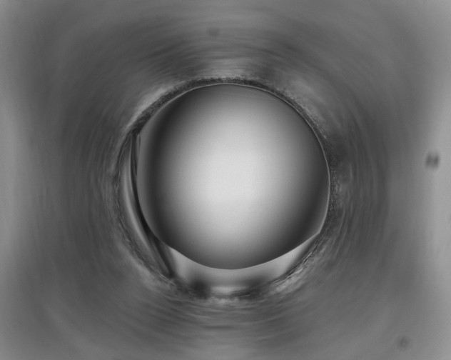 X0000097870160200803141306