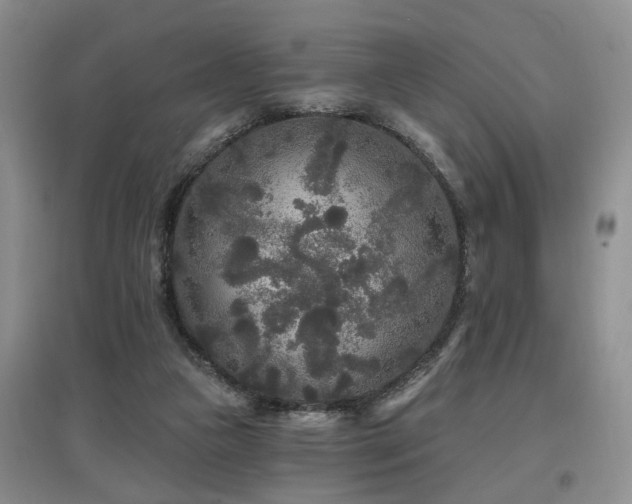 X0000097870161200803141306