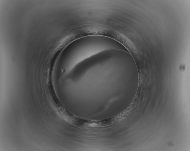 X0000097870163200803141306