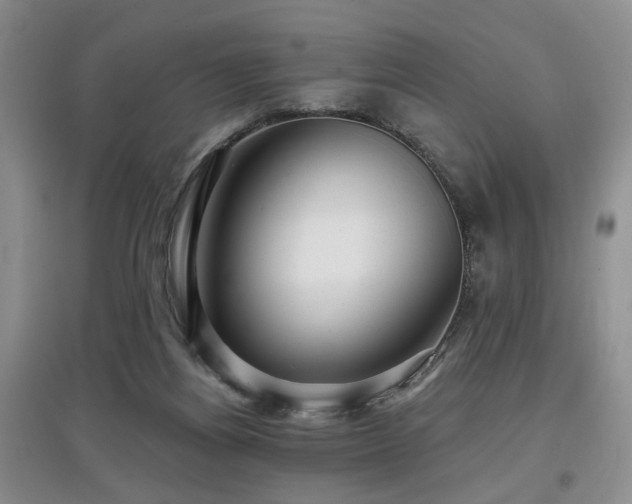 X0000097870164200803141306
